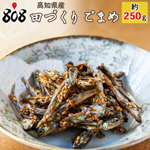 【送料無料】【高知県産】田作り ごまめ　約250g【ネコポス】