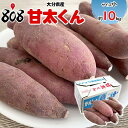 甘太くん サイズ小 約10kg(北海道沖縄別途送料加算)