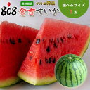 【送料無料】【鳥取県産】秀品 倉吉すいか 選べるサイズ 1玉(北海道沖縄別途送料加算)