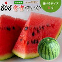 【送料無料】【鳥取県産】訳あり 倉吉すいか 選べるサイズ 1玉(北海道沖縄別途送料加算)