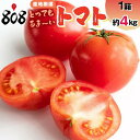 【送料無料】【産地厳選】とってもあま~い トマト 1箱 約4kg(北海道沖縄別途送料加算)