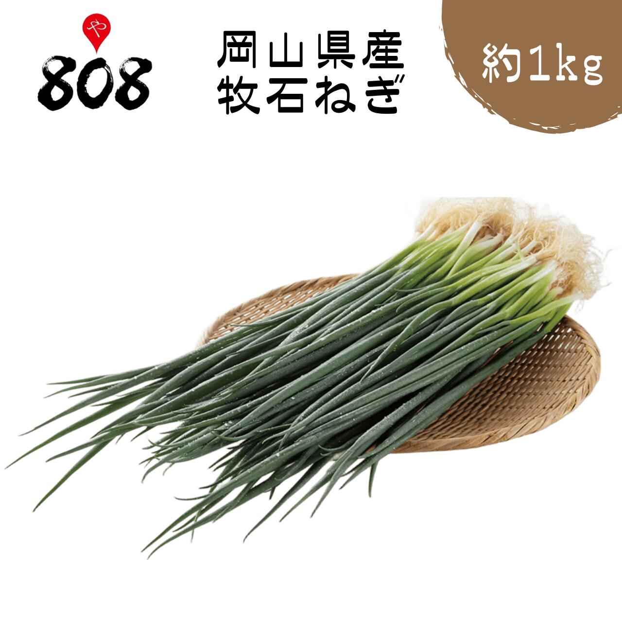 【岡山県産】牧石ネギ　約1kg【野菜詰め合わせセットと同梱で送料無料】【送料別】青ネギ/敬老の日/お..