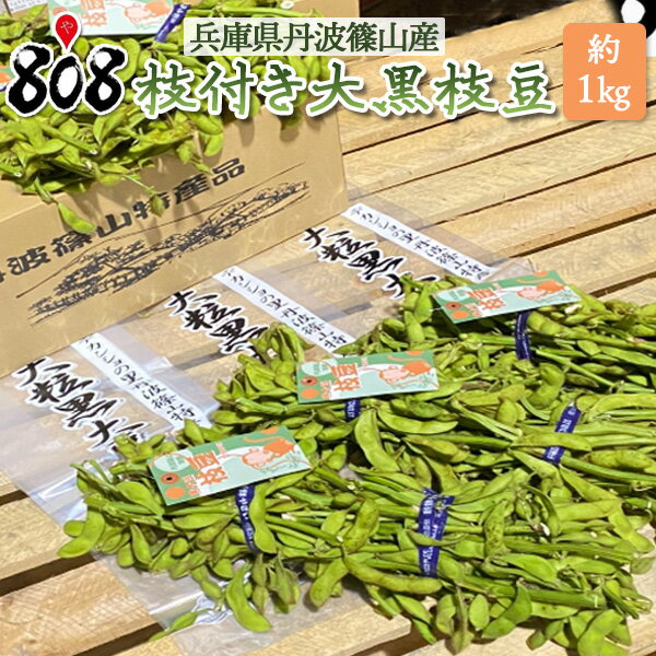 【送料無料】【兵庫県産(丹波篠山特産品)】枝付き大粒黒大豆枝豆　約1kg(北海道沖縄別途送料加算)