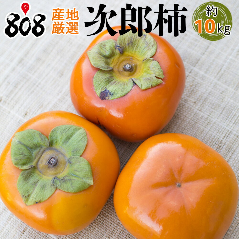 【送料無料】【産地厳選】訳あり 次郎柿　大きさおまかせ　約10kg(北海道沖縄別途送料加算)のサムネイル