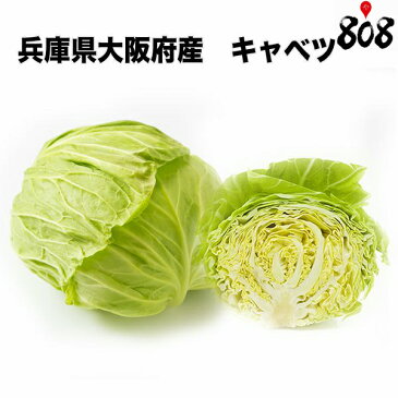 【兵庫県/大阪府産】キャベツ 1個 約1.5kg【野菜詰め合わせセットと同梱で送料無料】【送料別】千切り/苗/種/やみつきキャベツ/塩だれキャベツ/サラダ/炒め物/野菜/葉物野菜/中元/漬物/正月/お歳暮/歳暮