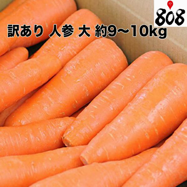 【送料無料】【西日本産】訳あり 人参 大 約9〜10kg(北海道沖縄別途送料加算)人参ジュース/にんじんジュース/人参サラダ/にんじん/ニンジン/訳有/訳あり/訳アリ/ワケあり/敬老の日/お歳暮/歳暮/サラダ/スムージー/野菜スティック/