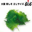 【愛知県産】大葉 青しそ あおじそ 2Lサイズ 1パック約100g 100枚入【送料別】【野菜詰め合わせセットと同梱で送料無料】お歳暮/歳暮/中元/正月/お中元/葉物野菜/野菜/栄養/高品質/効能/