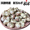 【送料無料】【兵庫県淡路島産】訳あり新玉ねぎ 小玉 約20k...