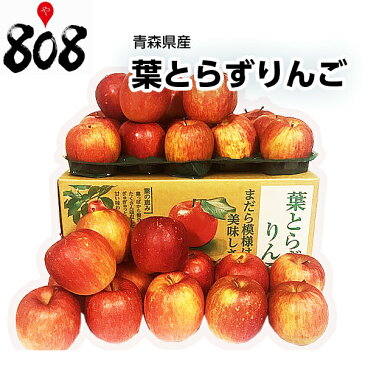 【送料無料】【青森県産】JAつがる弘前 葉とらずりんご 大きさおまかせ 約10kg(北海道沖縄別途送料加算)