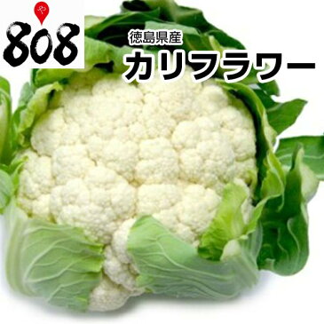 【徳島県産】カリフラワー　L〜2Lサイズ　1株　約900g【野菜詰め合わせセットと同梱で送料無料】【送料別】/お歳暮/歳暮/中元/お中元/正月/ブロッコリー/野菜/葉物野菜/効能/栄養/夏野菜/父の日/七夕