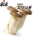 【長野県産】エリンギ　1パック約100g【野菜詰め合わせセットと同梱で送料無料】【送料別】/敬老の日/お歳暮/歳暮/中元/お中元/正月/高品質/きのこ/キノコ/えりんぎ/松茸/マイタケ/まいたけ/マツタケ