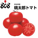 トマト 1パック 約600g