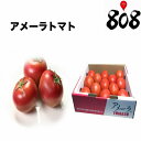 【送料無料】【静岡県/長野県産】とってもあま〜い 高糖度 アメーラトマト 12玉前後 1箱 約1kg(北海道沖縄別途送料加算)とまと/フルーツトマト/トマトジュース/トマトリコピン/中元/ギフト/贈答/のし/ラッピング/ジュース/生地/種/苗