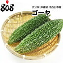 【西日本産】ゴーヤ　にがうり　1本　約200g【野菜詰め合わせセットと同梱で送料無料】【送料別】/敬老の日/中元/お中元/お歳暮/歳暮/正月/ごーや/効能/栄養/沖縄/大分