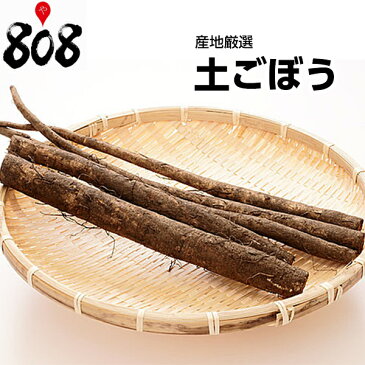 【産地厳選】採れたて土ごぼう　1パック　約800g【野菜詰め合わせセットと同梱で送料無料】【送料別】ごぼう/ゴボウ/敬老の日/お歳暮/歳暮/土物/きんぴらごぼう/漬物/野菜/高品質