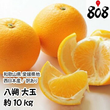 【送料無料】【あす楽】【西日本産】訳あり　八朔　大玉限定　約10kg(北海道沖縄別途送料加算)はっさく/みかん/ミカン/蜜柑/訳有/訳あり/訳アリ/ワケあり/はっさく/柑橘/果実/果物/フルーツ/ジュース/ジャム/スムージー/ご家庭用/御年賀/歳暮/