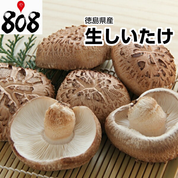 【送料別】【徳島県産】 BIG 生しいたけ 1パック 約200g【野菜詰め合わせセットと同梱で送料無料】野菜宅配/母の日/父の日/椎茸/マッシュルーム/シイタケ/生/栄養/敬老の日