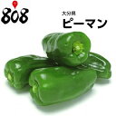 【西日本産】ピーマン 1パック 約100g【野菜詰め合わせセットと同梱で送料無料】【送料別】/敬老の日/お歳暮/歳暮/高品質/ビタミンC/カロテン/お歳暮/歳暮/中元/お中元/野菜/