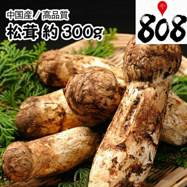 【クール便送料無料】【中国産】松茸 専用カゴ入り 国産すだち付き 大きさおまかせ 約300g(北海道沖縄別途送料加算)まつたけ/マツタケ/お吸い物/きのこ/キノコ/暑中見舞い/残暑見舞い/ギフト/贈答/のし/景品/土瓶蒸し/敬老の日/秋の味覚/敬老の日