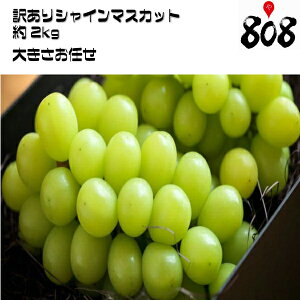 【クール便送料無料】【岡山県産】訳あり　シャインマスカット　大きさお任せ　約2kg (北海道沖縄別途送料加算)/訳有/訳アリ/ぶどう/葡萄/ブドウ/ギフト/贈答/ギフト/高糖度/産地直送/お歳暮/歳暮/父の日/お中元/暑中見舞い/残暑見舞い/敬老の日