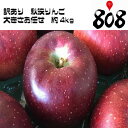 【送料無料】【長野県産】訳あり 秋映(あきばえ) 大きさおま...