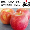 【送料無料】【長野県産】訳あり シナノドルチェ 大きさおまか...