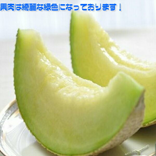 【送料無料】【静岡県産】特選　アローマメロン　マスクメロン　化粧箱入　1玉　約...