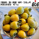【送料別】【徳島県/香川県産】渋柿・吊るし柿 約1kg【野菜詰め合わせセットと同梱で送料無料】【送料は注文後に個数によって変動】