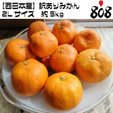 【送料無料】【西日本産】訳ありみかん　2Lサイズ　約5kg(北海道沖縄別途送料加算)訳有/訳あり/訳アリ/ワケあり/ミカン/蜜柑/ジュース/スムージー/みかん狩り/ゼリー/ジャム/高糖度