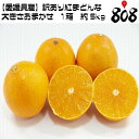 【送料無料】【愛媛県産】訳あり紅まどんな 大きさおまかせ 1...