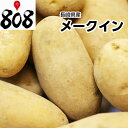 【送料無料】【長崎県産】新メークイン 2Lサイズ 約5kg(...