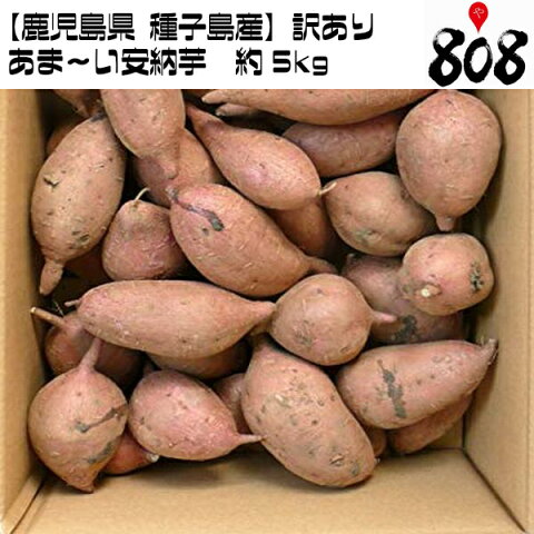 【送料無料】【あす楽】【鹿児島県 種子島産】ちょっと訳あり　あま〜い安納芋　約5kg(北海道沖縄別途送料加算)あんのういも/干し芋/焼き芋/煮物/さつま芋/さつまいも/サツマイモ/サツマ芋/薩摩芋/スイートポテト/芋菓子/栗きんとん/お歳暮/歳暮