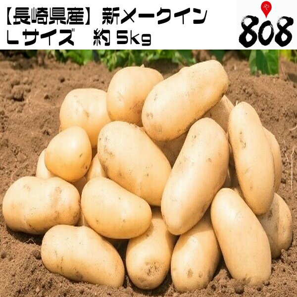 【送料無料】【長崎県産】新メークイン　Lサイズ　約5kg(北海道沖縄別途送料加算)メイクイーン/じゃがいも/ジャガイモ/じゃが芋/ジャガ芋/ばれいしょ/馬鈴薯/バレイショ/ホッカイコガネ/北海こがね/黄金メーク/業務用/新じゃが/種芋/巣ごもり消費/ダイエット/健康/自炊