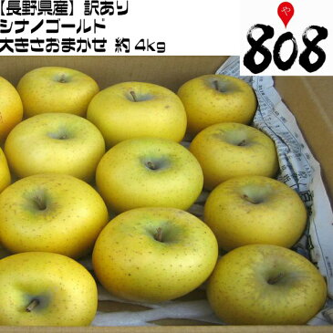 【送料無料】【長野県産】訳あり シナノゴールド 大きさおまかせ 約4kg(北海道沖縄別途送料加算)ご家庭用/訳有/訳あり/訳アリ/ワケあり/リンゴ/りんご/林檎/アップルジュース/スムージ/敬老の日/お歳暮/歳暮/高糖度/家庭用