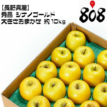 【送料無料】【長野県産】秀品 シナノゴールド 大きさおまかせ 約10kg(北海道沖縄別途送料加算)ギフト/贈答/林檎/リンゴ/お歳暮/りんご/のし/ラッピング/可/お中元/敬老の日/ジュース/スムージー/歳暮/高糖度/期間限定