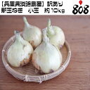 【送料無料】【兵庫県淡路島産】訳あり新玉ねぎ 小玉 約10k...