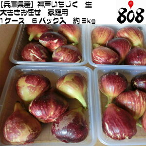 【クール便送料無料】【兵庫県産】神戸いちじく 生 大きさお任せ 家庭用 1ケース 6パック入 約3kg(北海道沖縄別途送料加算)イチジク/無花果/ジャム/スムージー/苗/ドライ/ジュース/暑中見舞い/残暑見舞い/お供え/果物/フルーツ/敬老の日