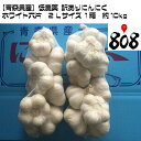 【送料無料】【青森県産】低農薬 訳ありにんにく ホワイト六片　2Lサイズ 1箱約10kg (北海道沖縄別途送料加算)/訳有/訳あり/訳アリ/ワケあり/敬老の日/お歳暮/歳暮/高品質/品質保証/家庭用/業務用