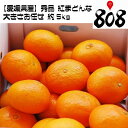 【送料無料】【愛媛県産】秀品 紅まどんな 大きさお任せ 約5...