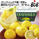 【送料無料】【カリフォルニア産】訳あり 超大玉メロゴールド 約5kg 約10kg 約15kg (北海道沖縄別途送料加算)
