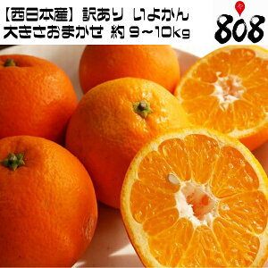 【あす楽】【送料無料】【西日本産】訳あり いよかん 大きさおまかせ 約9〜10kg(北海道沖縄別途送料加算)伊予柑/イヨカン/ジュース/高糖度/ギフト/スイーツ/巣ごもり/健康/自炊/おうち時間/食品ロス野菜宅配/母の日