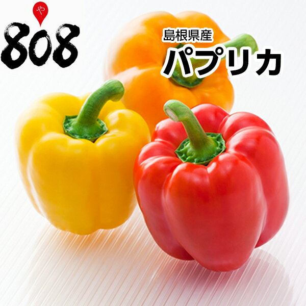 【送料別】【島根県産】パプリカ　1個　約180g【野菜詰め合わせセットと同梱で送料無料】野菜宅配/母の日/父の日/敬…