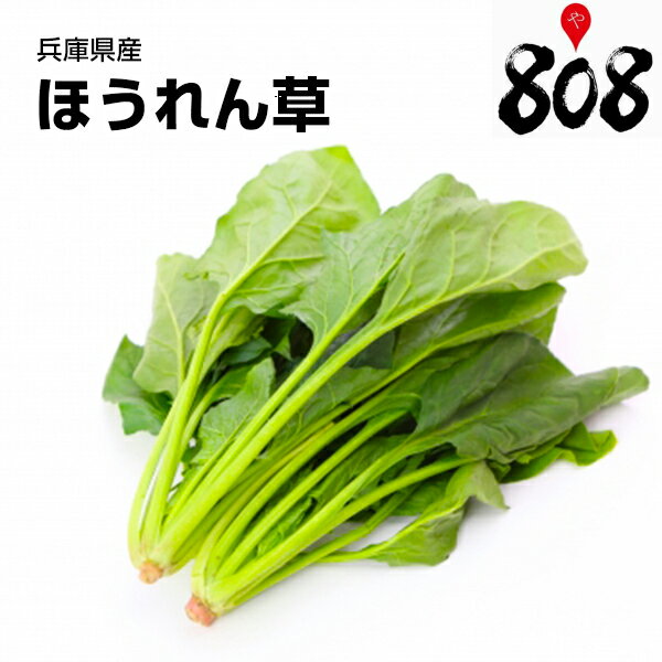 【兵庫県/徳島県産】ほうれん草　1束　約200g【野菜詰め合わせセットと同梱で送料無料】【送料別】敬老の日/お歳暮/歳暮/中元/お中元/正月/ホウレン草/ホウレンソウ/ほうれんそう/葉物野菜/野菜/冬至/冬ギフト/おうち時間/巣ごもり/ダイエット/健康/自炊/食品ロス/