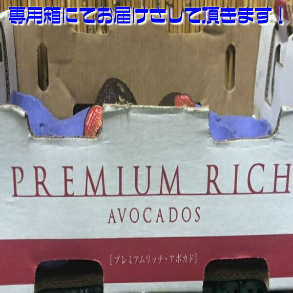 【送料無料】メキシコ産　アボカド　1ケース　プレミアムリッチ (北海道沖縄別途送料加算)/濃厚/業務用/完熟/新鮮/森のバター/果実/ヘルシー/ビタミン/ミネラル/カリウム/ジュース/栄養/健康/家庭用/スムージー/贈り物/ラッピング/熨斗/高級/新鮮/果物/野菜/