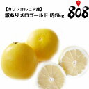 【送料無料】【カリフォルニア産】訳あり メロゴールド 大きさおまかせ 約5kg 約10kg 約15kg(北海道沖縄別途送料加算)