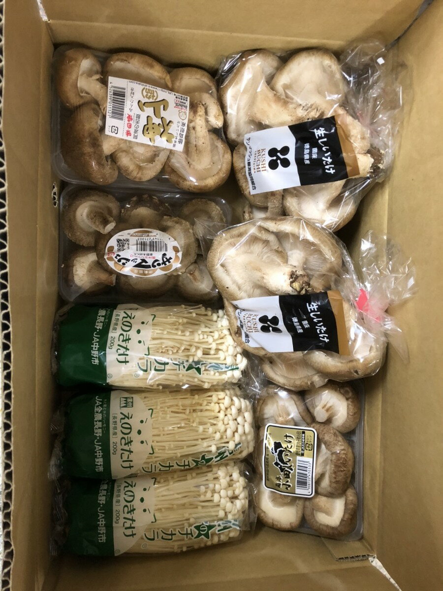 【送料無料】【産地厳選】きのこづくしセット(北海道沖縄別途送料加算)