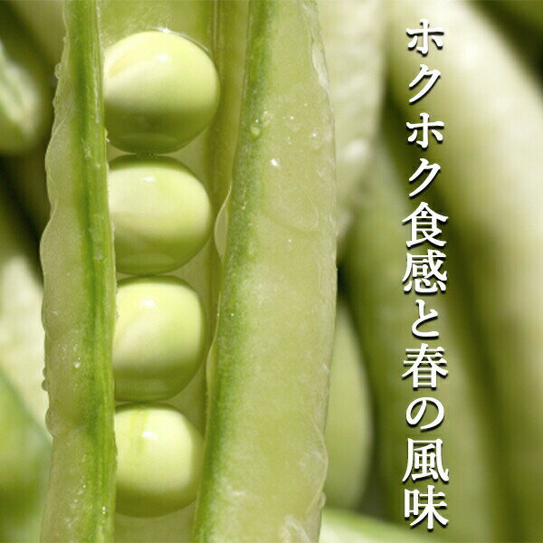 ������̵���ۡ��²λ���/Ĺ�긩���������ꡡ����������ɤ����礭����Ǥ������2kg(�̳�ƻ�������������û�)