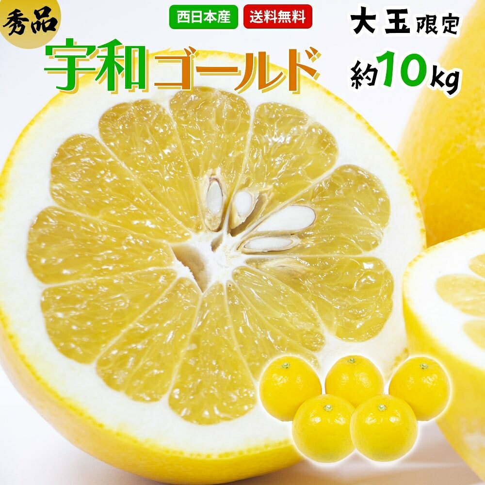 【送料無料】【愛媛県産】秀品　宇和ゴールド　大玉限定　約10kg(北海道沖縄別途送料加算)