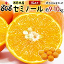 【送料無料】【和歌山他西日本産】訳あり セミノール 大きさおまかせ 約9〜10kg(北海道沖縄別途送料加算)