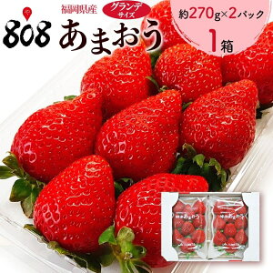 【送料無料】【福岡県産】あまおう　グランデサイズ　1箱 約270g×2パック(北海道沖縄別途送料加算)